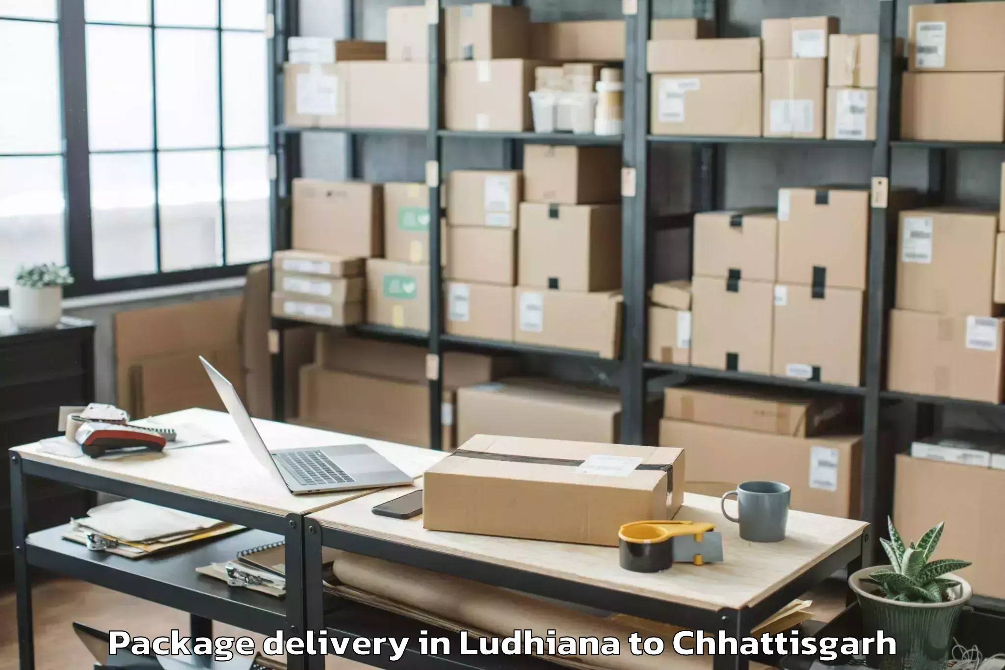 Get Ludhiana to Sarguja University Ambikapur Package Delivery